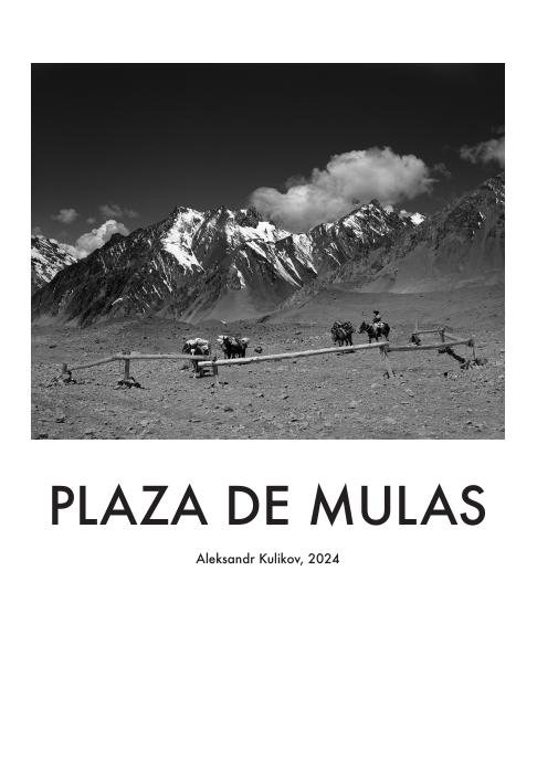 Plaza de Mulas — cover